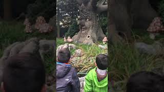 Talking tree