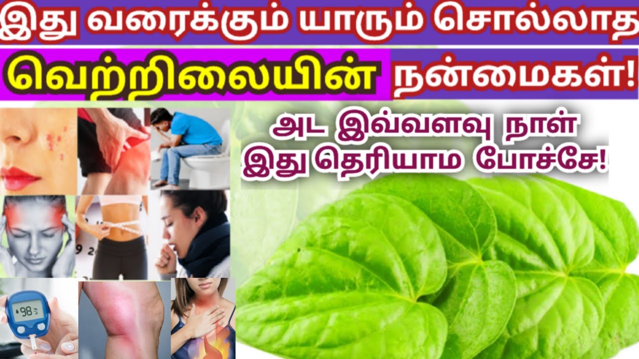 இது வரைக்கும் யாரும் சொல்லாத வெற்றிலையின் நன்மைகள் Vetrilai Benefits