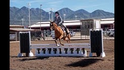 Scottsdale Arabian Horse Show Hunter Jumper 2017 