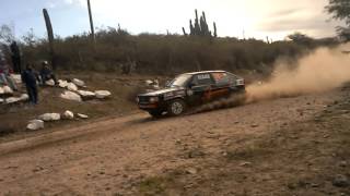 Rally Catamarca palo labrado 11