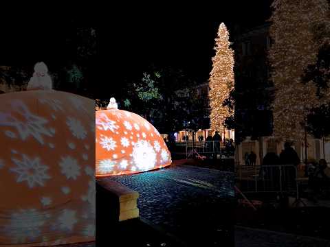 ✴️✨ LO SPETTACOLO della GRAN DAMA ✳️💫 ... aspettando NATALE! 🎄 #christmassongs #wintershow