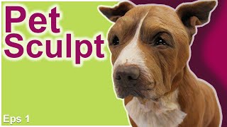 How to Sculpt REALISTIC DOG from DOG PET PICTURES - Eps 1 - Polymer Clay Tutorial - by Joan Cabarrus