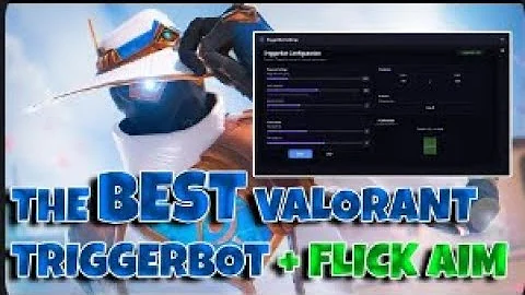 BEST VALORANT TRIGGERBOT FOR DOMINATING RANKED! 1
