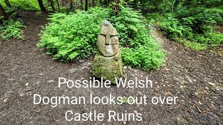 In Search of the Welsh Dogman: Native-built castle in an unconventional forest setting