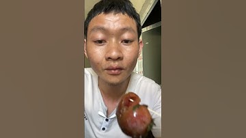 Ăn quả kiểu miền núi #shots #vùngcao #ẩmthựcmiềnnúi @ThuongNongDan