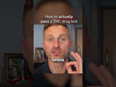 Does Safelite Auto Glass Drug Test