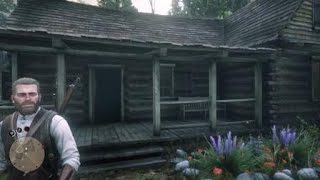 Red Dead Redemption 2 Diary  - Stranger mission - Lady