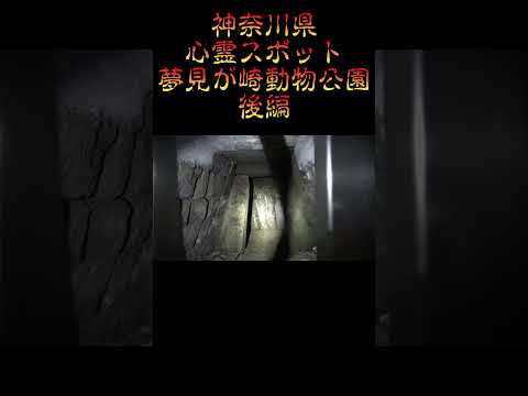 神奈川県心霊スポット『夢見が崎動物公園』後編 #オカルト #恐怖 #ホラー #心霊スポット