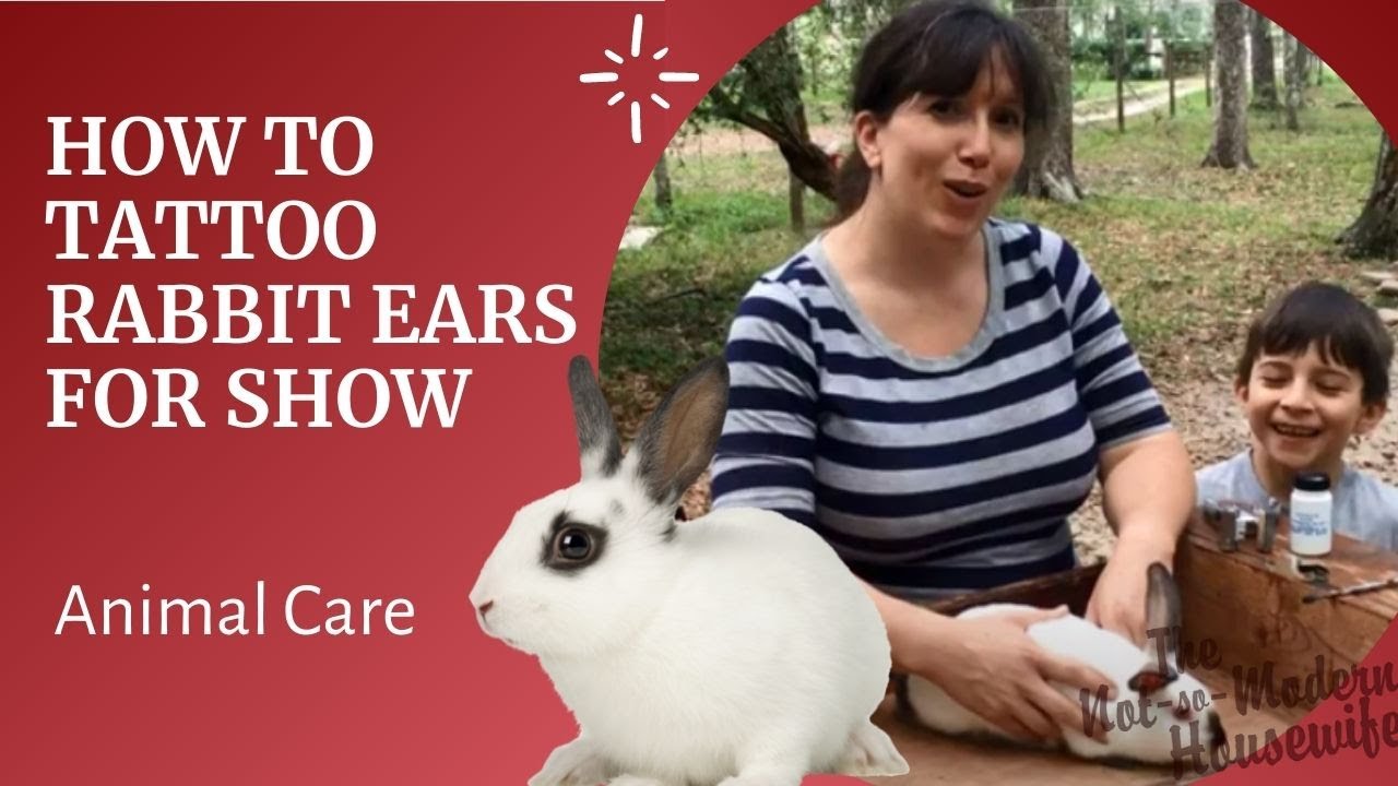 How To Tattoo Rabbit Ear