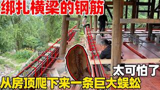 Download lagu 90后夫妻坚持把老房子改造翻新，师傅们在绑扎钢筋，发现一条巨大放入蜈蚣从房顶上爬下来，太可怕了