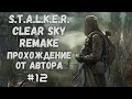 S.T.A.L.K.E.R. Clear Sky Remake #12 - С подключением!