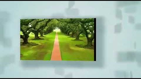 سورة نوح 《أجمل صوت》