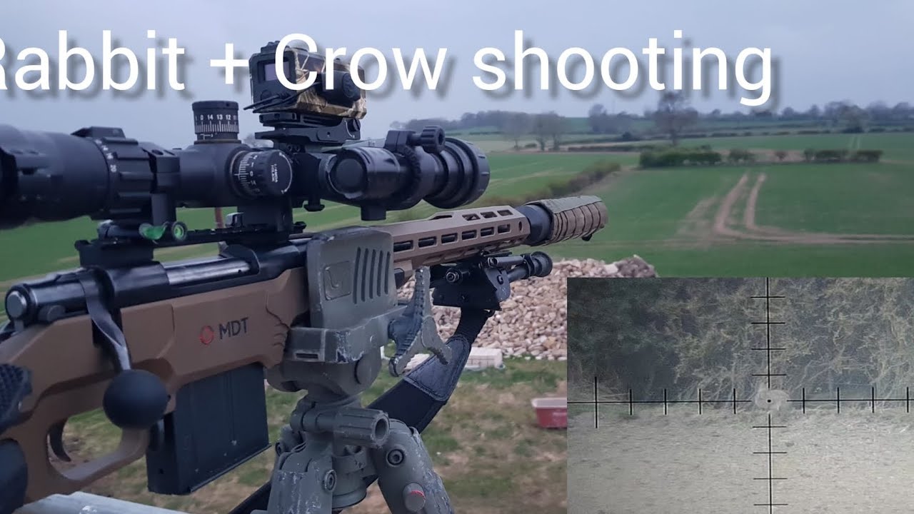 Rabbit +Crow shooting, .223 howa 1500 - YouTube