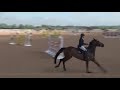 Allington International CSI2* - Day 3 - CSI2* Silver Tour 1.35m