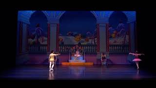 NADT 2022 The Nutcracker: Sugarplum Pas de deux: Ava Hinton (17) , Joan Sebastian Zamora Profile