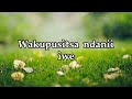 Mlaka Maliro _-_ Malodza_(Official Lyric Video)