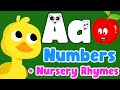 Best nursery rhymes compilation  famous nursery rhymes collection  baby songs  nurseryrhymes