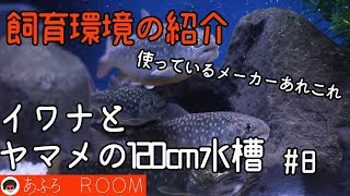 【イワナとヤマメの120ｃｍ水槽】＃8　飼育環境の紹介！（2019年7月時点） 【120cm aquarium of  IWANA trout and YAMAME trout】