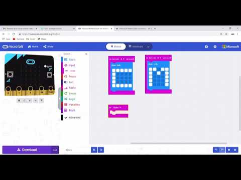 Code the various inputs on the Microbit