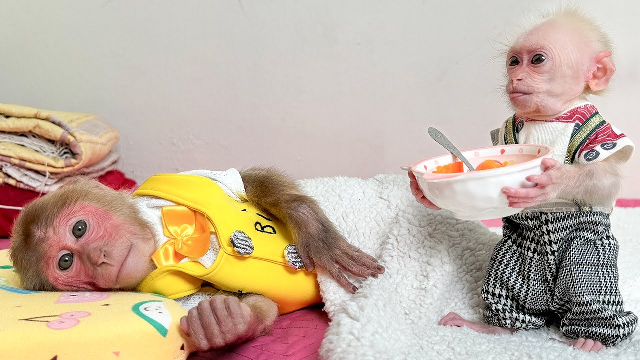 Lala woke Bibi up for breakfast and something surprising happened!