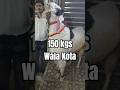 9700890395 | 150 kgs Live weight wala bakra & more available majid bhai yaqutpura Hyderabad