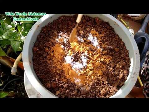 Vídeo: Minha planta de aranha tem tubérculos - explicação para raízes grossas de plantas de aranha