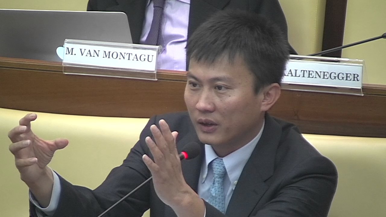 Discussion of Yi Cui's Speech | Plenary Session on Science and Sustainability