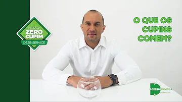 Qual é o alimento do cupim?
