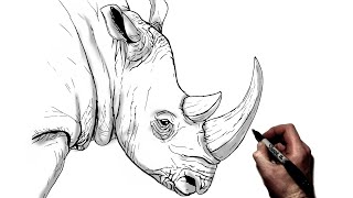How To Draw A Rhino | Step By Step