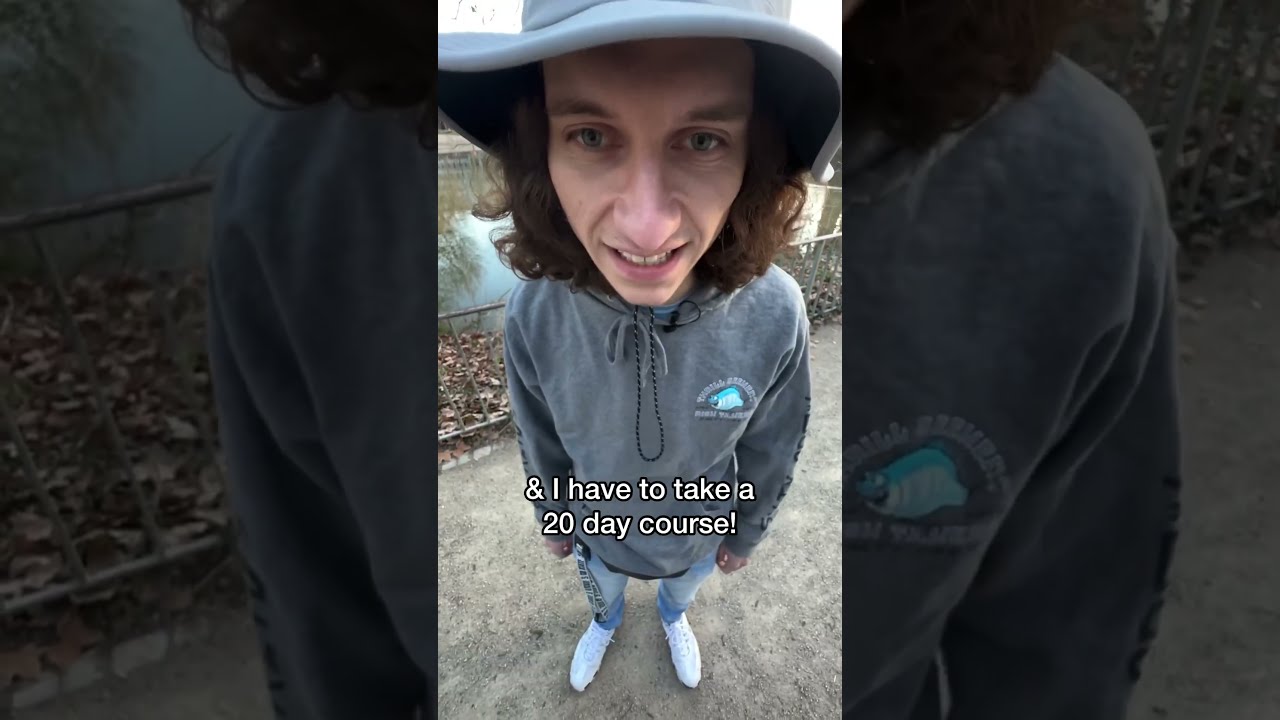 This Is Why Germany Complicated Shorts Learngerman