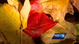 Fall colors across the state