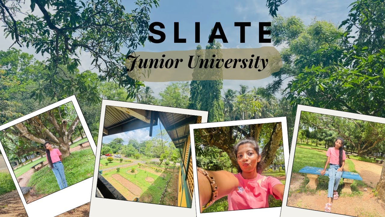 එන්න මාත් එක්ක Uni යමු 💗👩‍🎓🌈 junior University 💕🤍 SLIATE #sliate #gampaha  #hnd #followers #dayvlog 