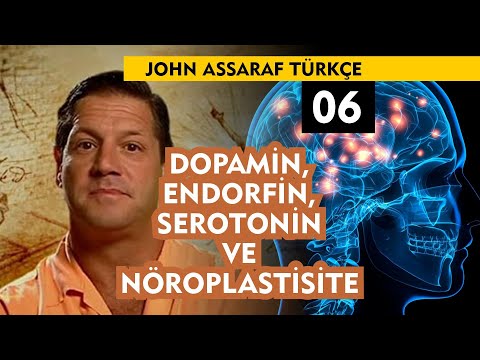 John Assaraf Türkçe 06 : Dopamin, Endorfin, Serotonin ve Nöroplastisite
