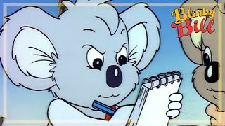 BLINKY BILL AND THE BALLOON  Episode 22  Season 2  The Adventures of Blinky Bill