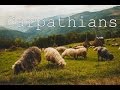 Карпаты/Carpathians/2015/part 6.0 (ЗАКЛЮЧИТЕЛЬНАЯ)