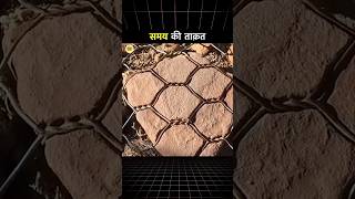 समय की ताक़त | Power Of Time