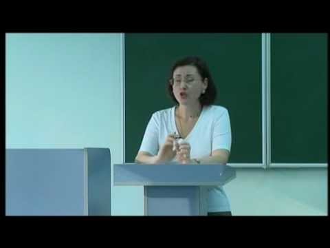 Лекции по истории государства