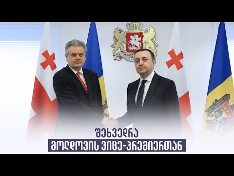 შეხვედრა მოლდოვის ვიცე-პრემიერთან