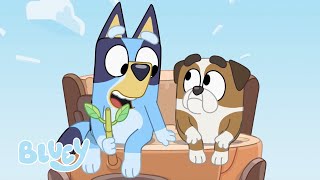 Helicóptero Bluey Español C Oficial