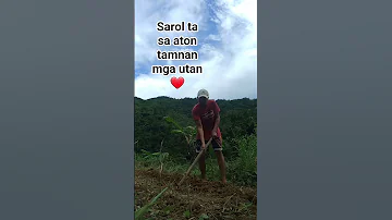 Sarol Ta Sa Aton Tamnan Mga Utanon Bukidislife Food Nature Tanim 