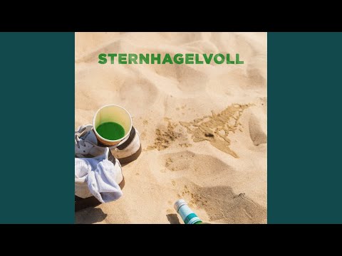 Sternhagelvoll