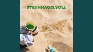 Sternhagelvoll