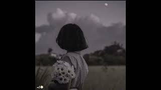 Dayan - Mustafa Ceceli & Semicenk