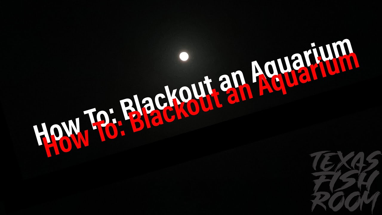 How to Blackout the back of an aquarium YouTube