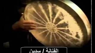 الفنانه الشعبيه / سدين - بداوي - ياراعي البارود