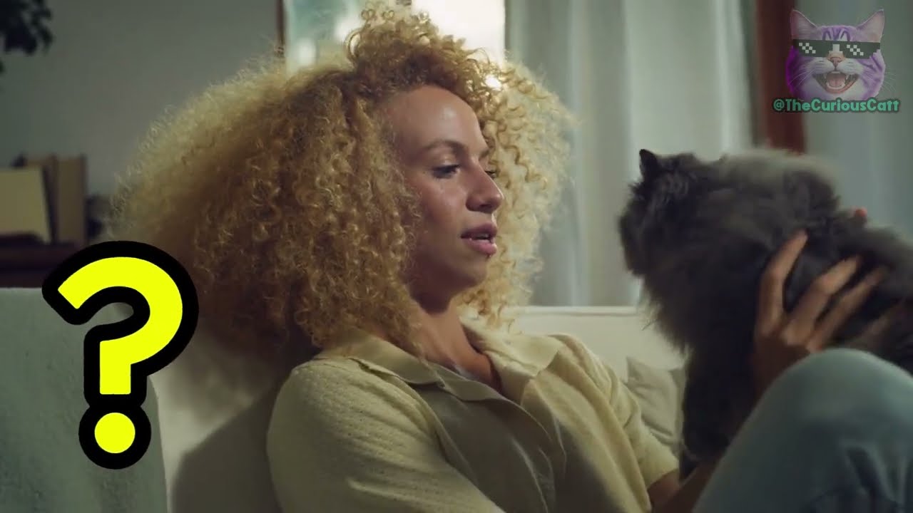 YouTube video image 3