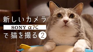 新しいカメラ（Α7C）で猫を撮る Part2 | #モアクリ Vlog041