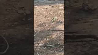 Famous April 2, 2026 Net Worth