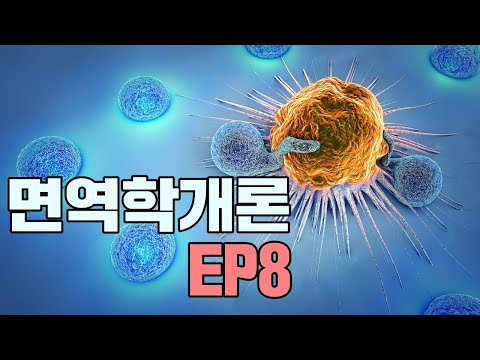 제8화 - 암세포까지 죽이는 NK cell, 자연살해세포 |  MHC class란?  | #면역항암치료 | #면역학개론 | #아토피