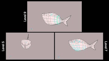 MeshFlow: Shark Sequence